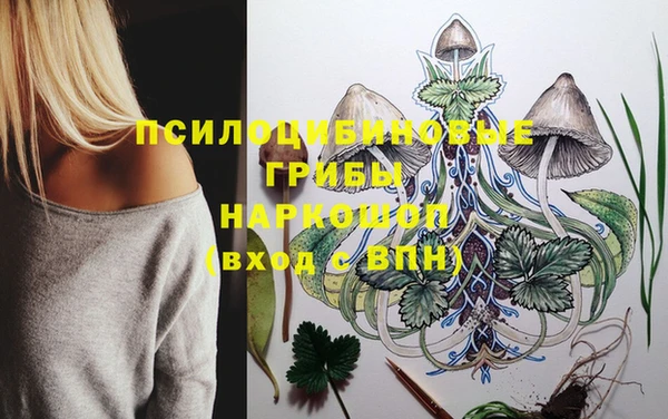героин Алзамай