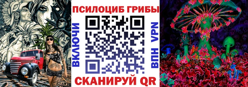 Галлюциногенные грибы Psilocybe  Купить закладки  Нижний Новгород 